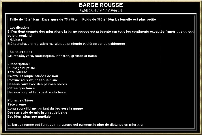 BARGE ROUSSE