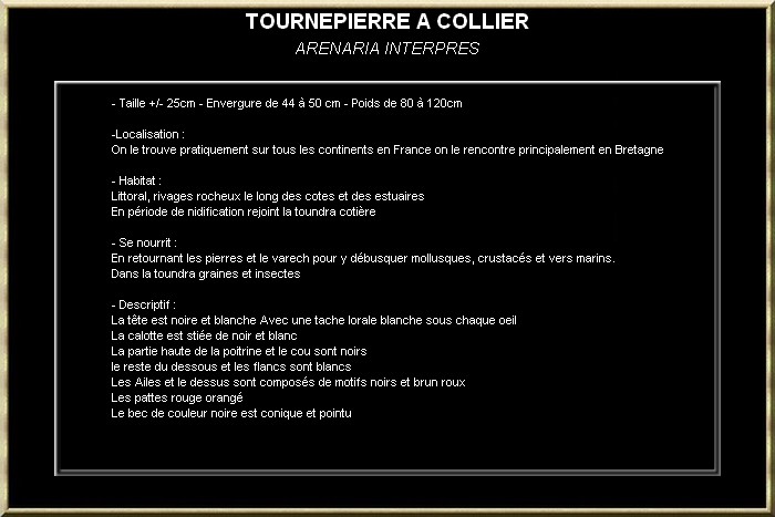 TOURNEPIERRE