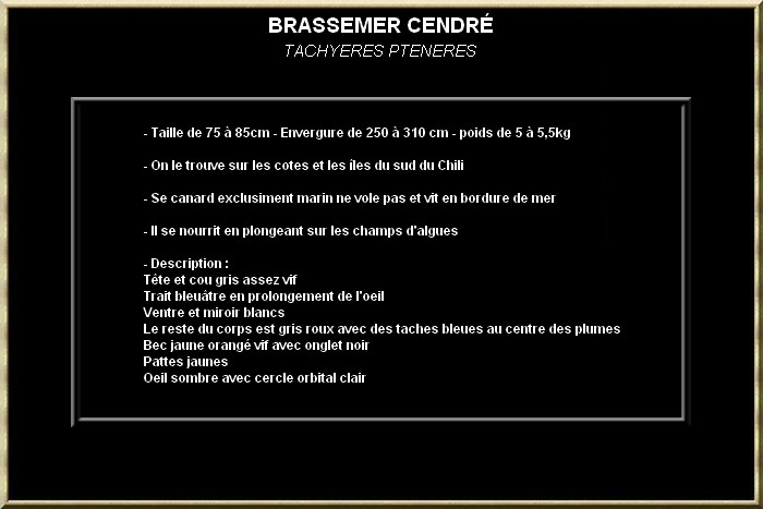 Brassemer cendré