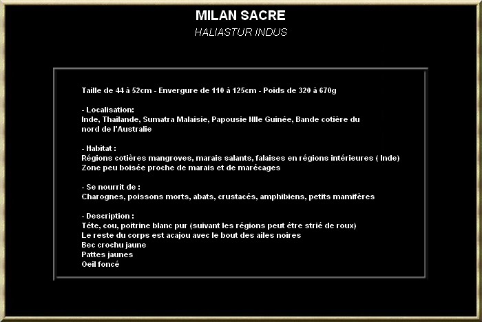 Milan sacré