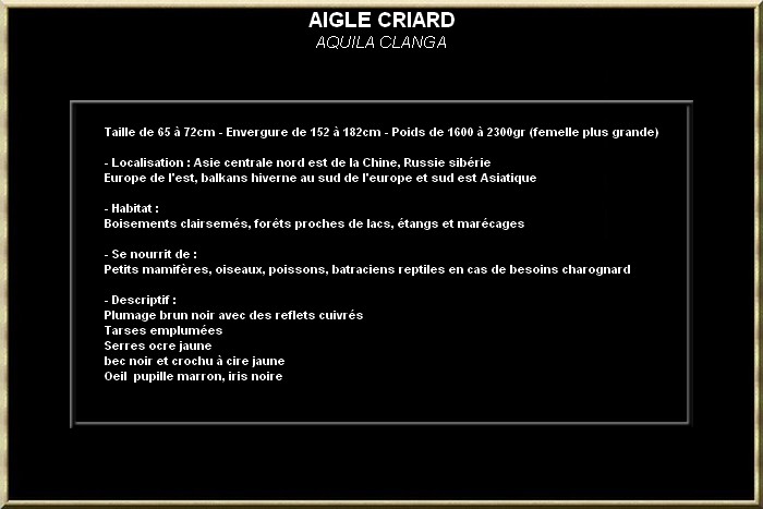 AIGLE CRIARD