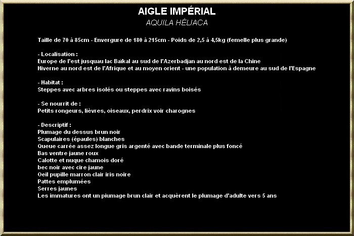 AIGLE IMPERIAL