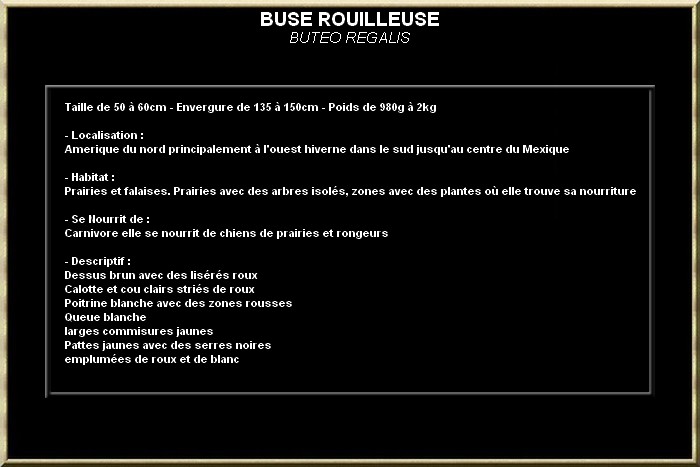 Buse rouilleuse