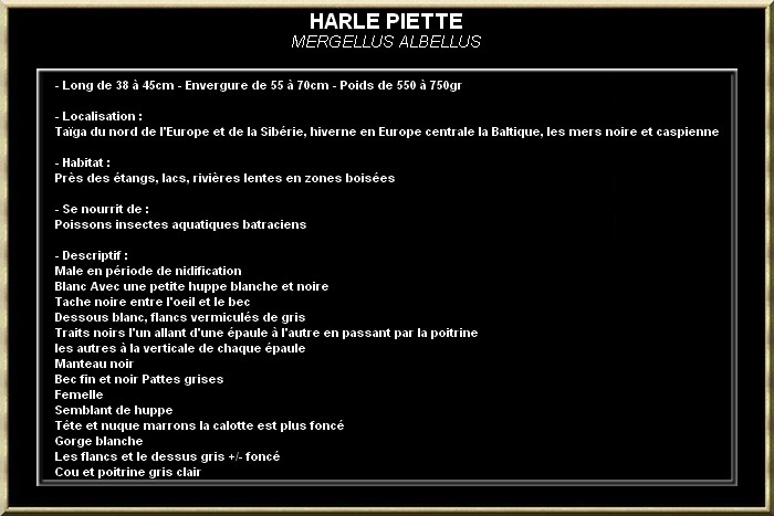 Harle piette