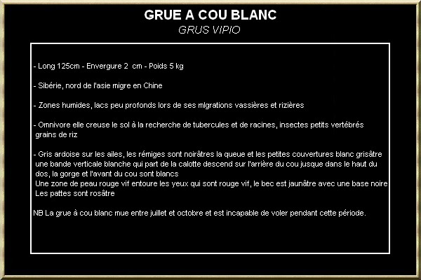 GRUE A COU BLANC