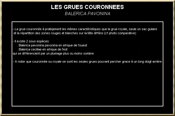 GRUE COURONNEE