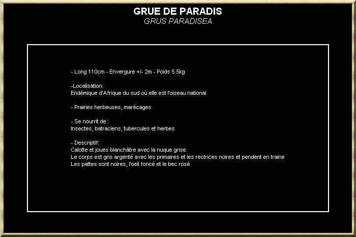 GRUE DE PARADIS