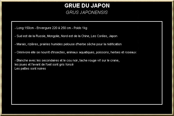 GRUE DU JAPON