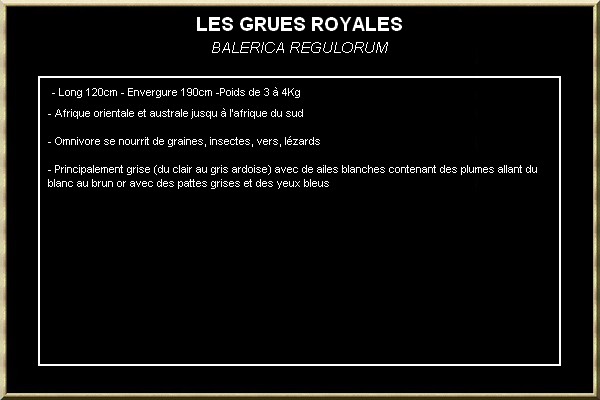 GRUE ROYALE